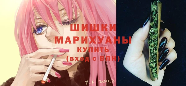 сатива Аркадак