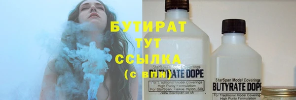 сатива Аркадак