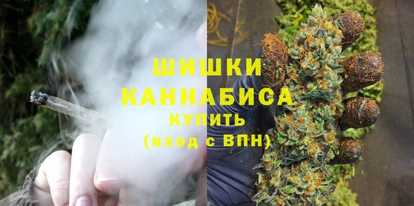 сатива Аркадак