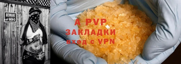 сатива Аркадак