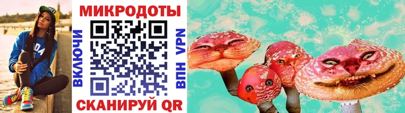 shop телеграм блэк спрут ТОР Валдай Псилоцибиновые грибы MAGIC MUSHROOMS